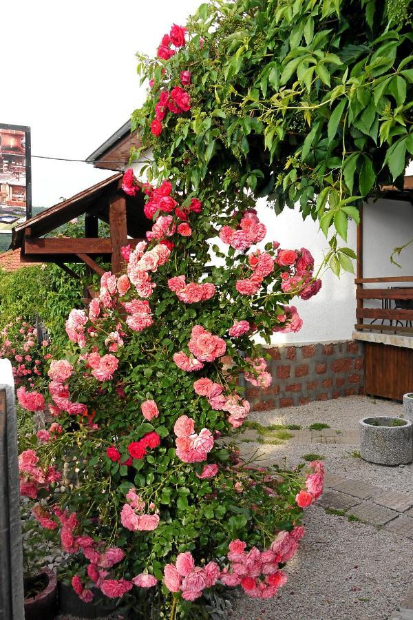 Guest House Medina Belogradtjik Exteriör bild