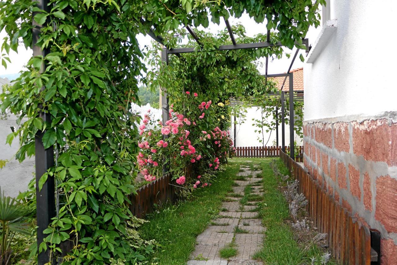 Guest House Medina Belogradtjik Exteriör bild