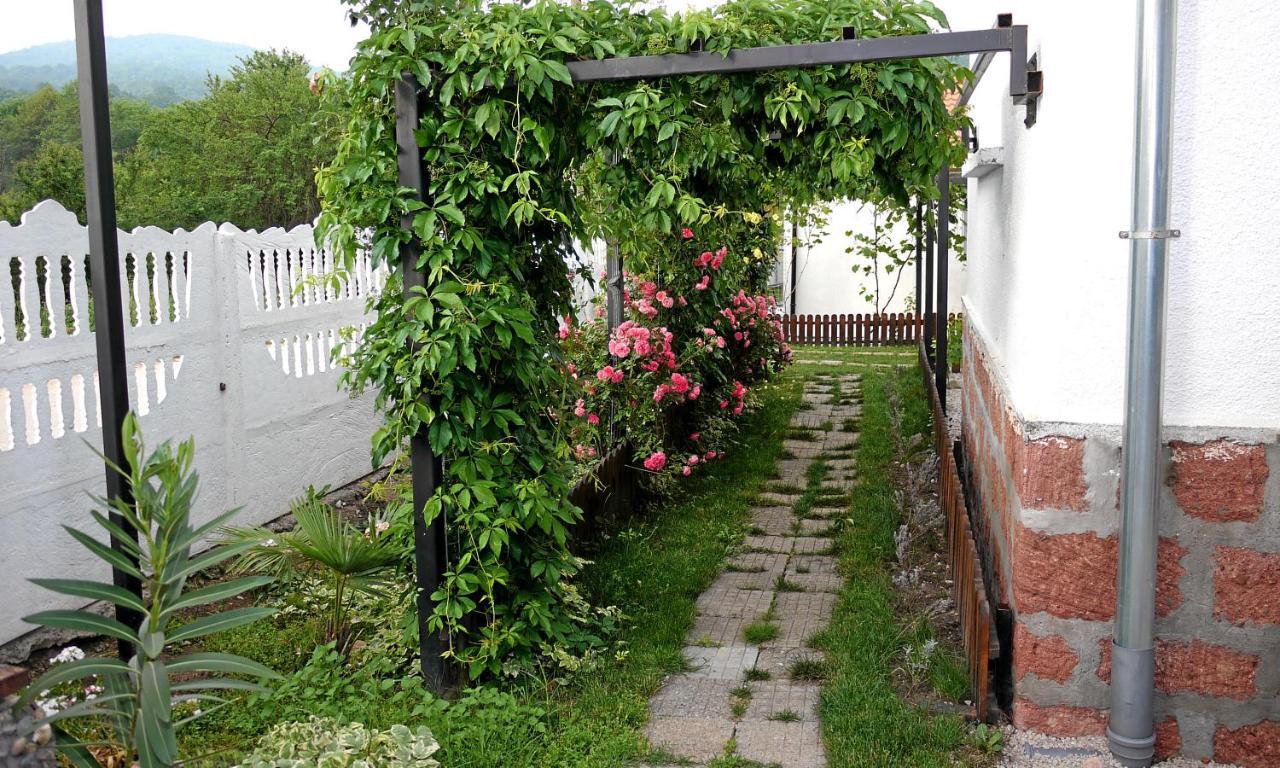 Guest House Medina Belogradtjik Exteriör bild
